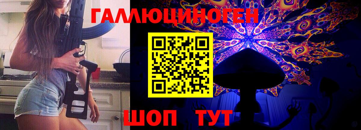 Псилоцибиновые грибы Psilocybine cubensis Губкинский